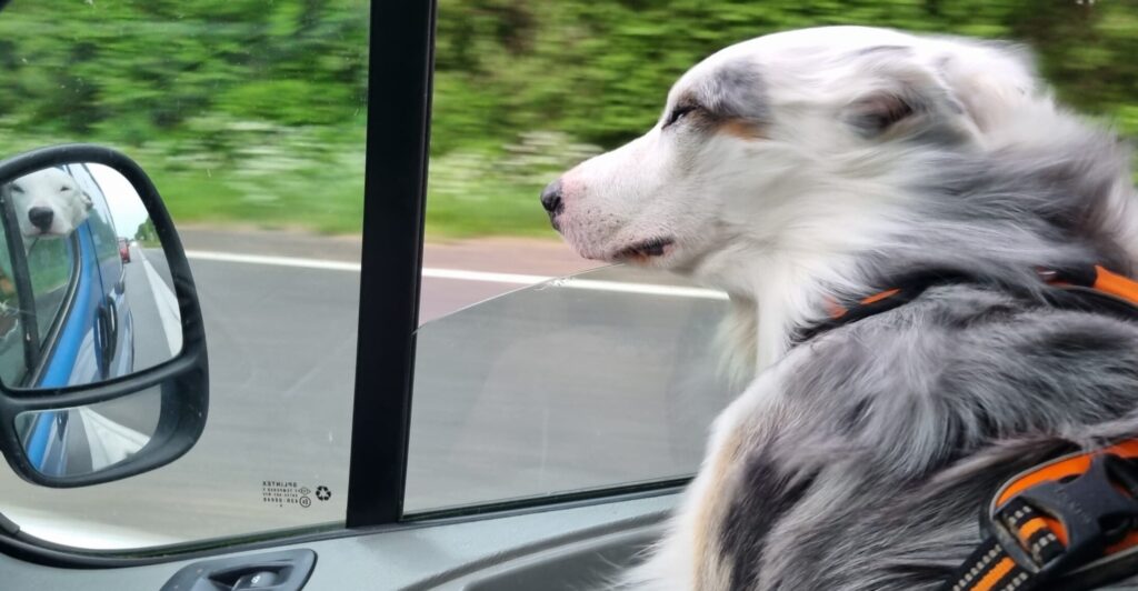 van