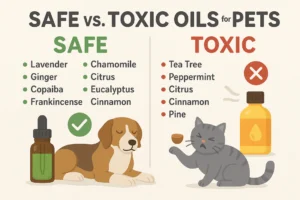 Lire la suite à propos de l’article Huiles essentielles:  comment choisir et utiliser en toute sécurité pour son chien ?